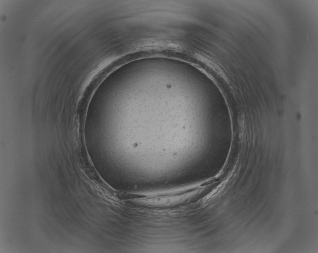 X0000077321021200611031700