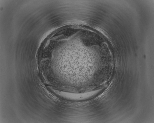 X0000077321022200611031700