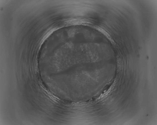 X0000077321023200611031700