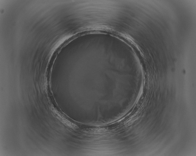 X0000077321024200611031700