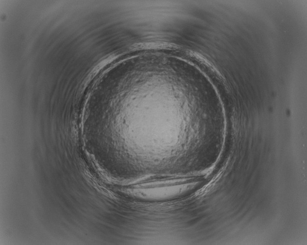 X0000077321025200611031700