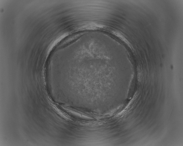 X0000077321026200611031700