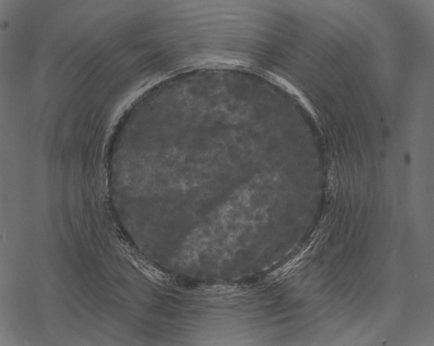 X0000077321027200611031700