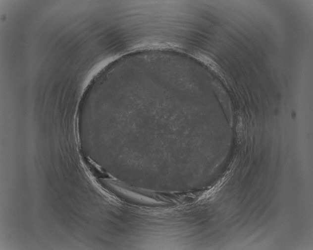 X0000077321030200611031700