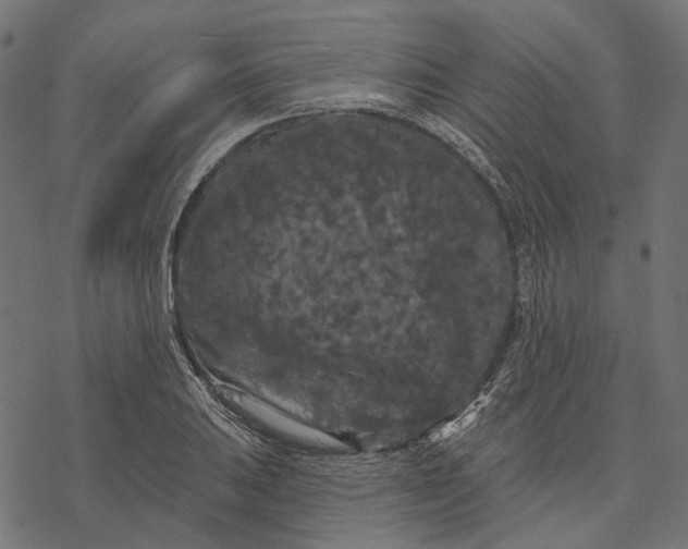 X0000077321031200611031700