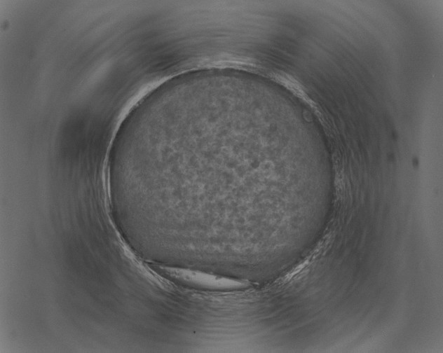 X0000077321032200611031700