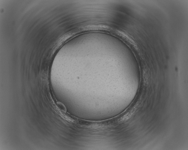 X0000077321033200611031700