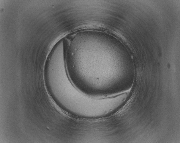 X0000077321034200611031700