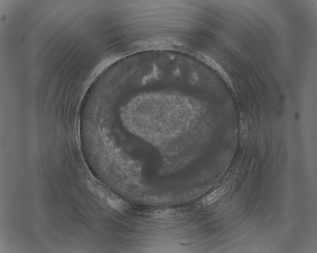 X0000077321035200611031700