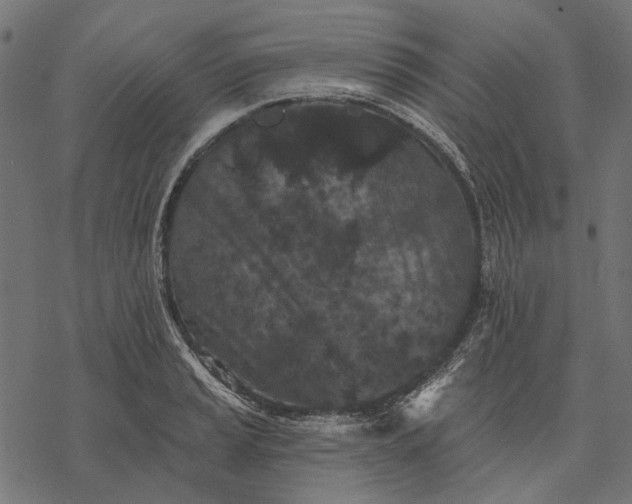 X0000077321037200611031700