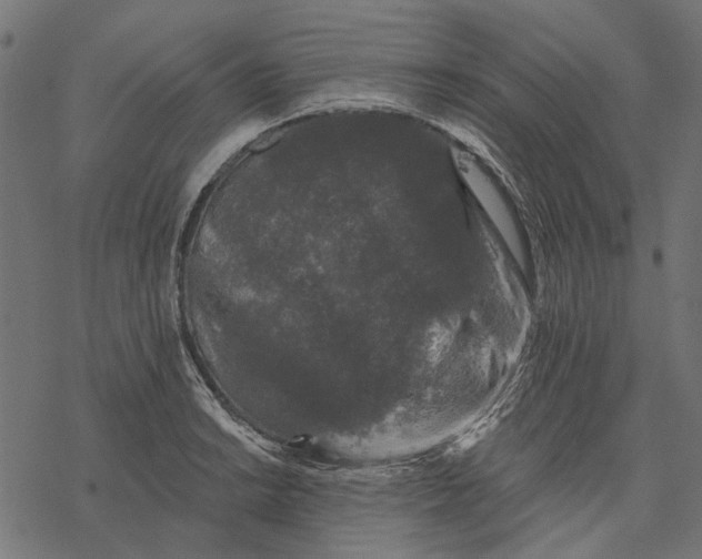 X0000077321038200611031700