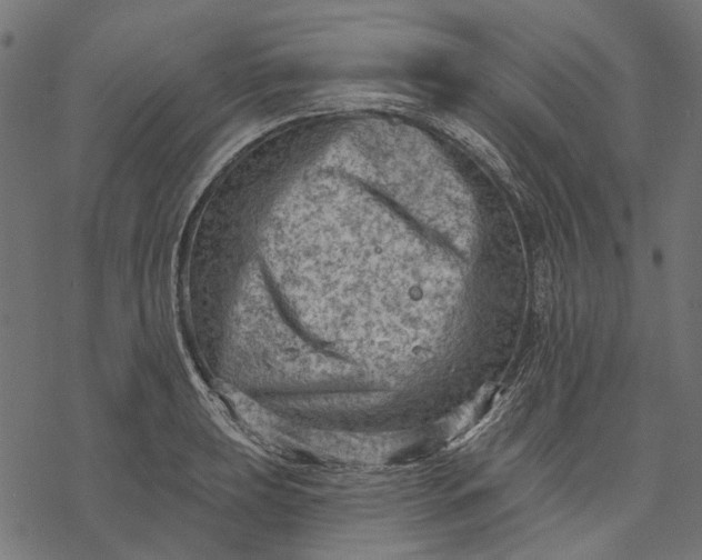 X0000077321039200611031700