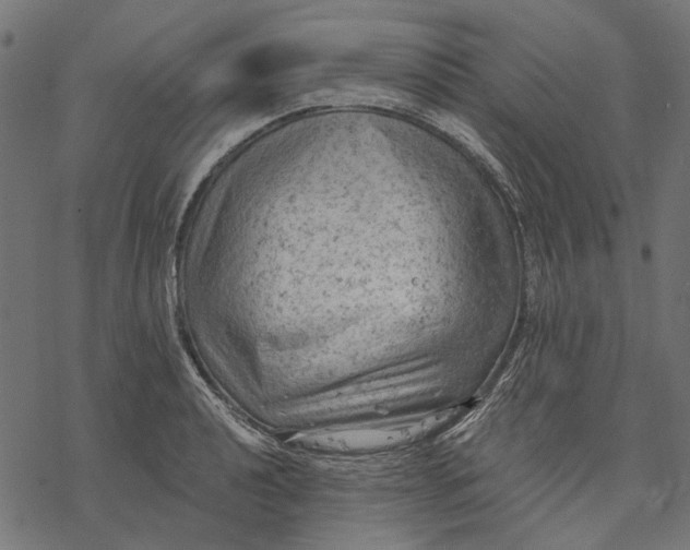 X0000077321040200611031700