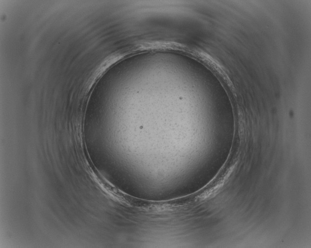 X0000077321041200611031700