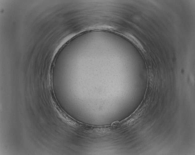 X0000077321044200611031700