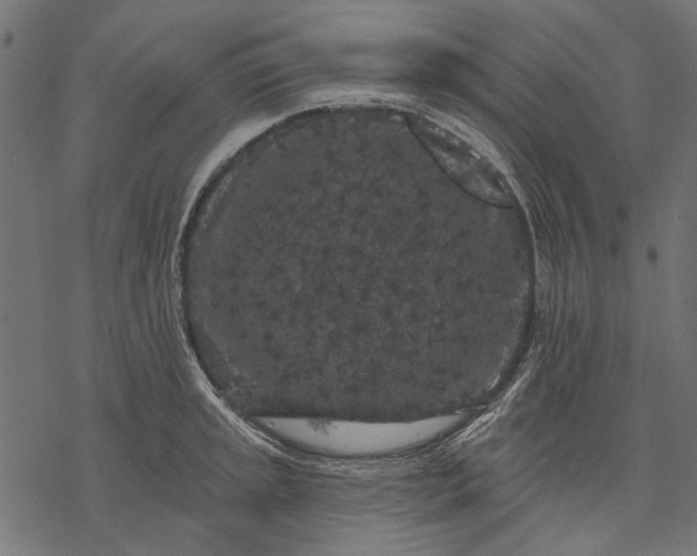 X0000077321045200611031700