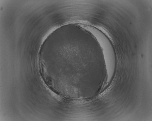 X0000077321046200611031700