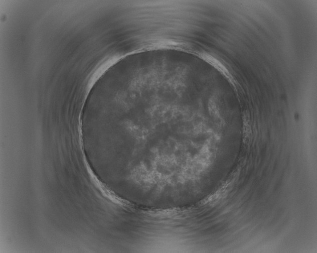 X0000077321047200611031700