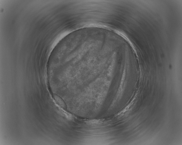 X0000077321048200611031700