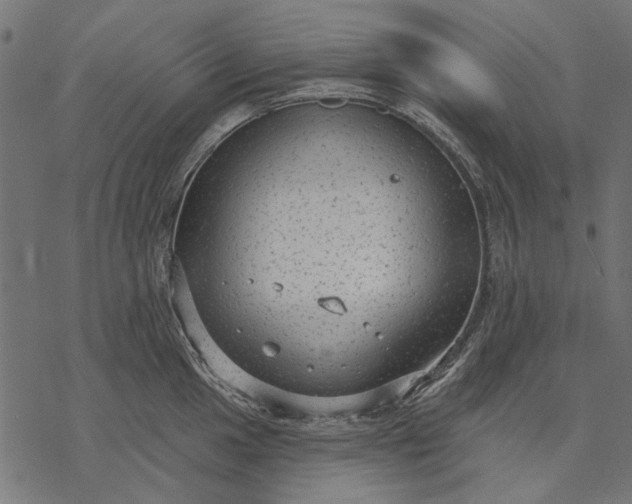 X0000077321049200611031700