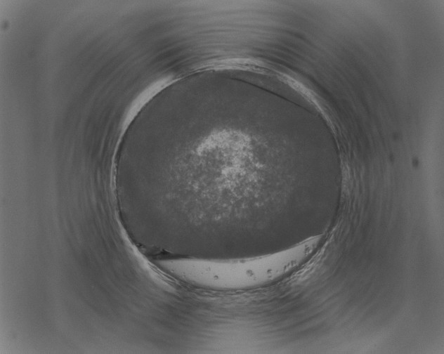 X0000077321050200611031700