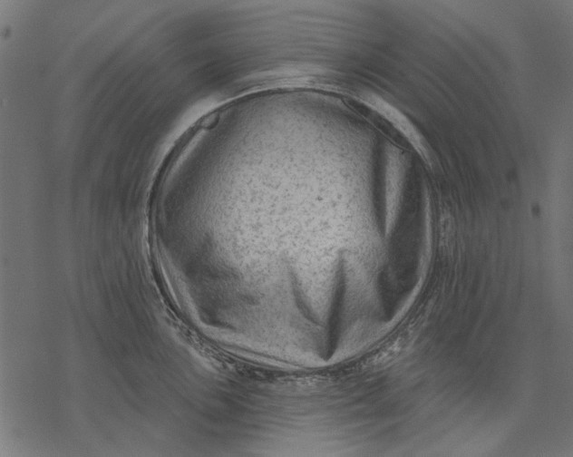 X0000077321051200611031700