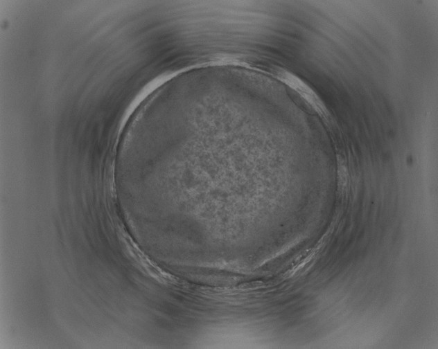 X0000077321052200611031700