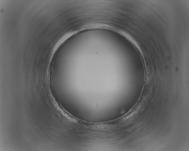 X0000077321053200611031700