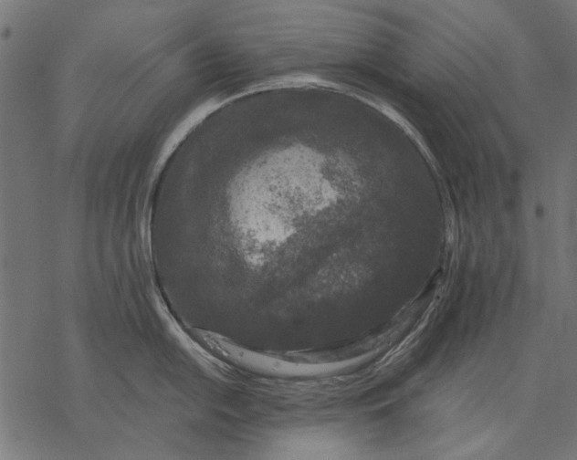 X0000077321054200611031700