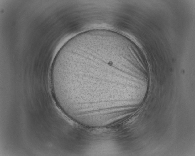 X0000077321056200611031701