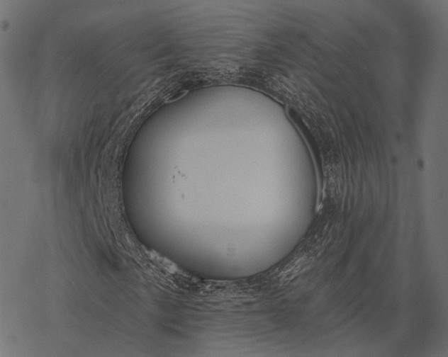 X0000077321057200611031700