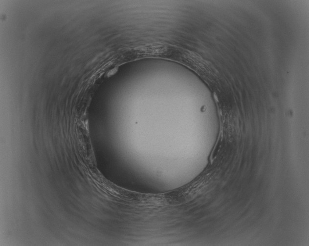 X0000077321058200611031700