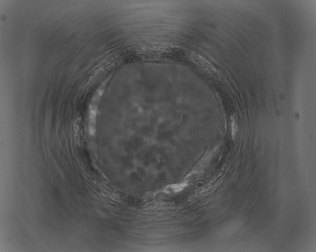 X0000077321059200611031700