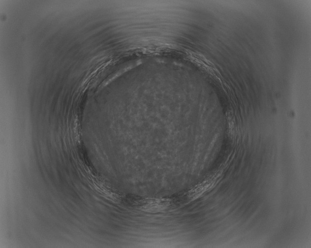 X0000077321060200611031700