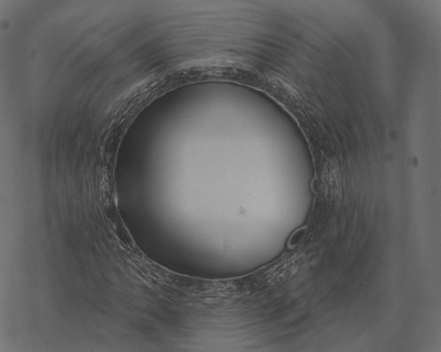 X0000077321062200611031700