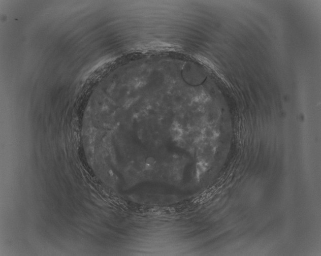 X0000077321063200611031700