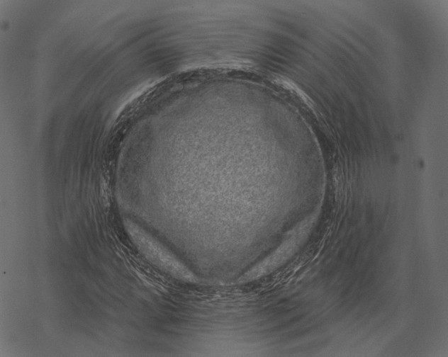 X0000077321064200611031700