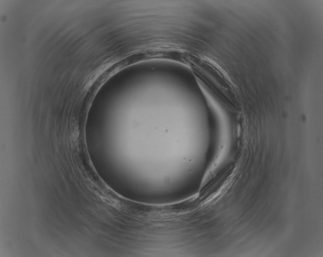 X0000077321065200611031700