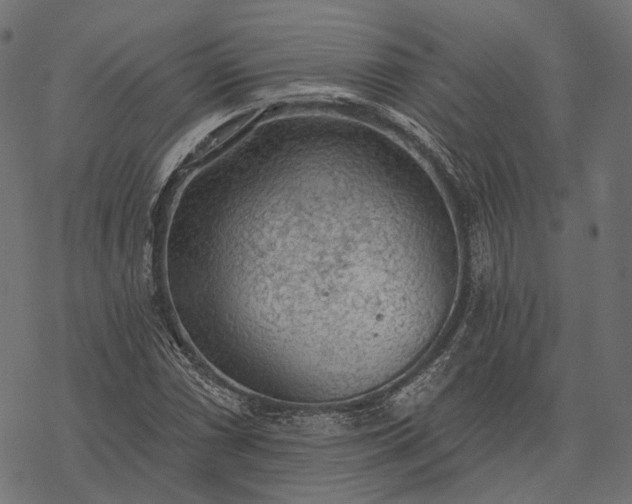 X0000077321066200611031700