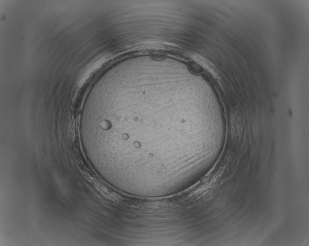 X0000077321067200611031700