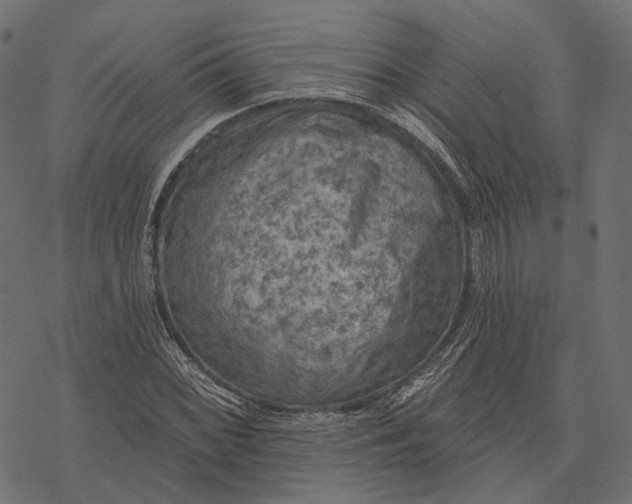 X0000077321068200611031700