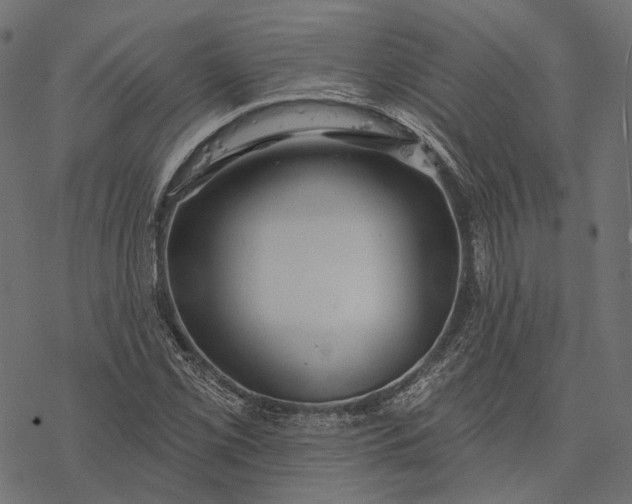 X0000077321069200611031700