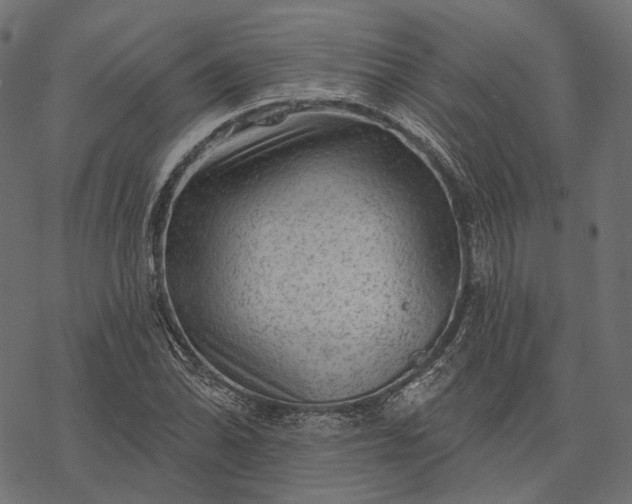 X0000077321070200611031700