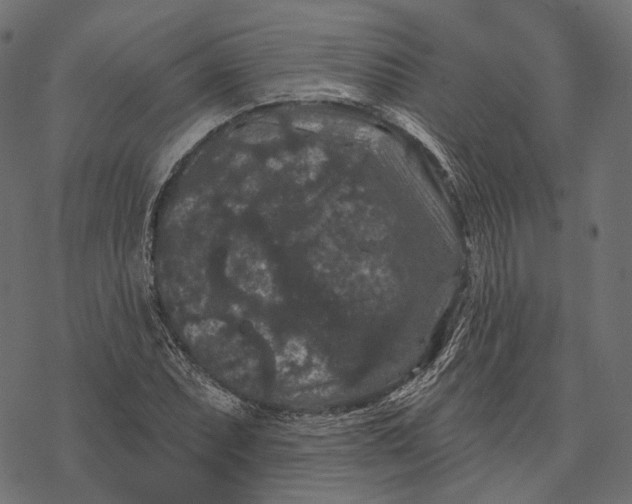 X0000077321071200611031659