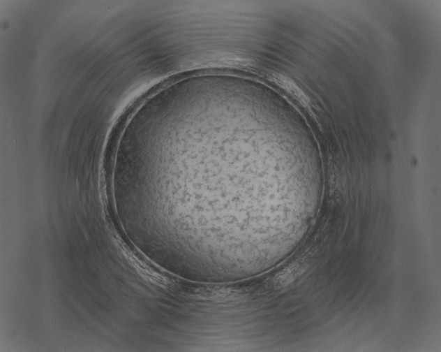 X0000077321072200611031659