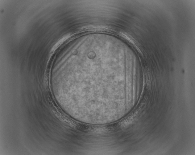 X0000077321074200611031659