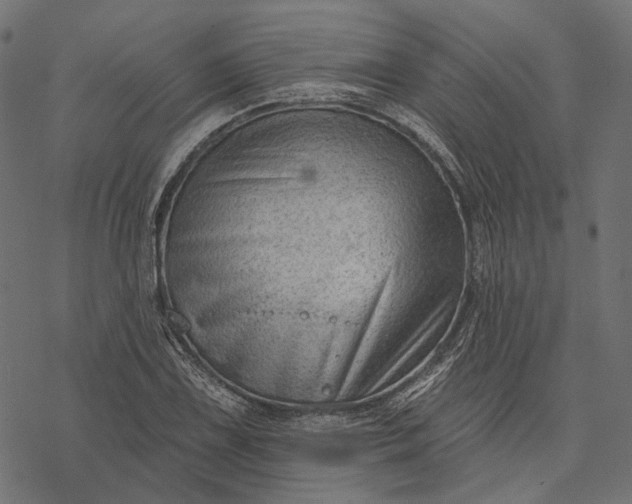 X0000077321075200611031659