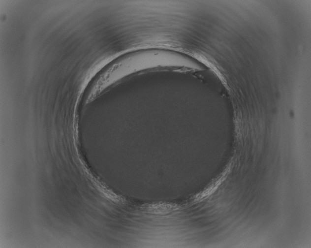 X0000077321077200611031659