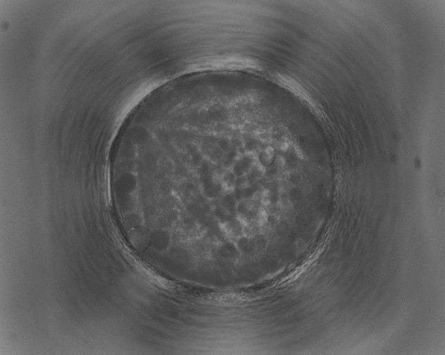 X0000077321079200611031659