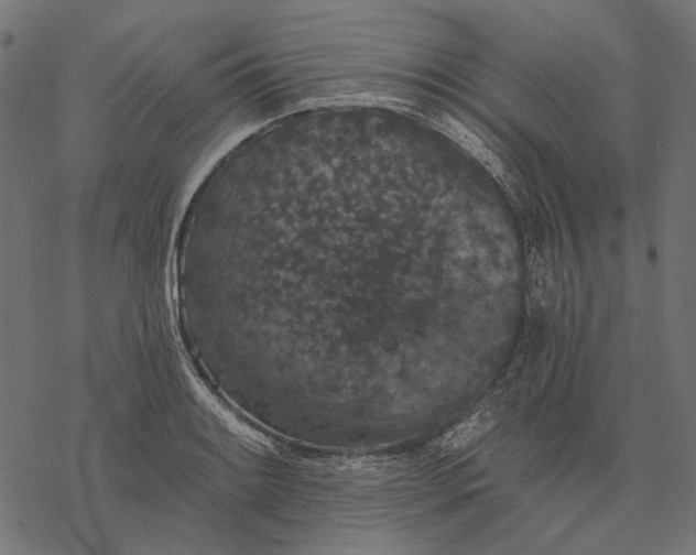 X0000077321084200611031659